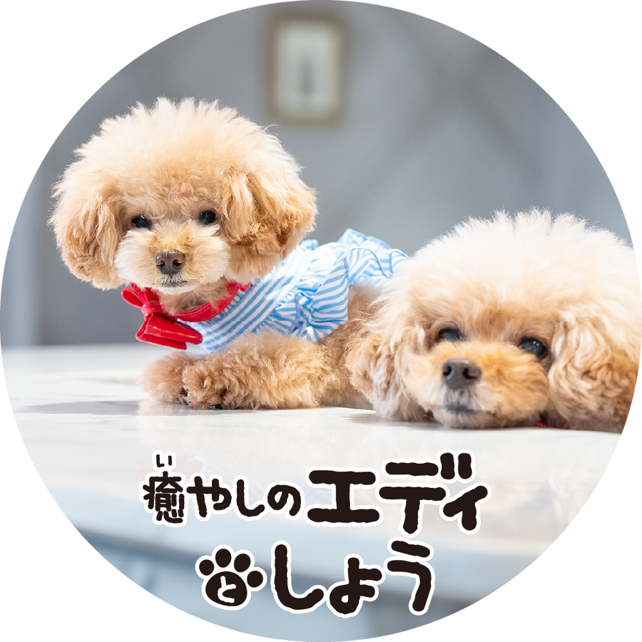 ワオ・コーポレーションの社員犬
「癒やしのエディとしょう」オリジナルグッズ！