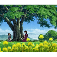 DVD（NITABOH）