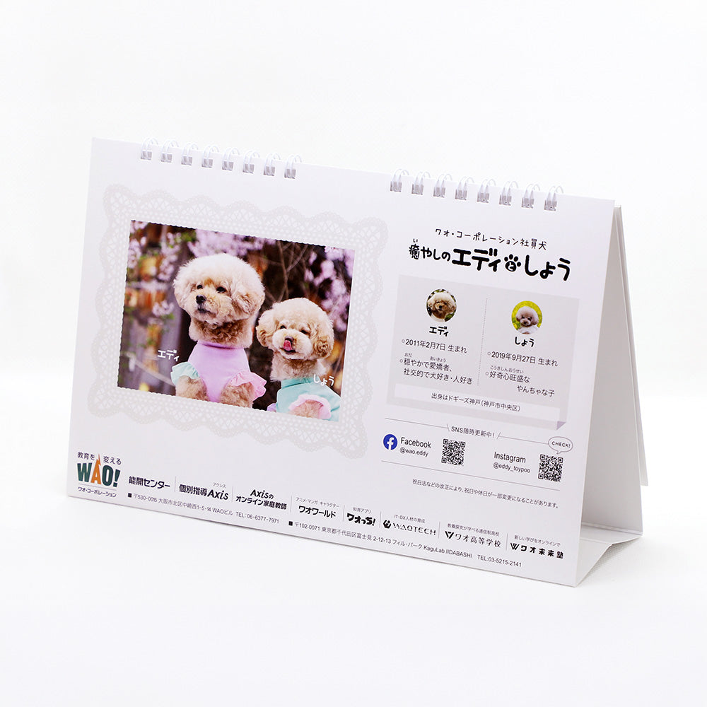 【新品】☆DOG &amp; CAT 2019卓上カレンダー☆ 株式会社ユー・エス・エス／上田写真製版所 ブログ