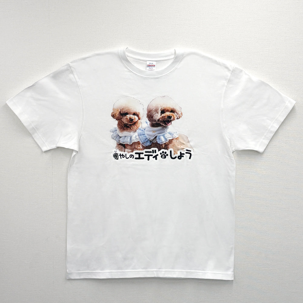 「癒やしのエディとしょう」Tシャツ_フロントプリント_WH