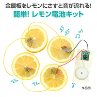 簡単！レモン電池