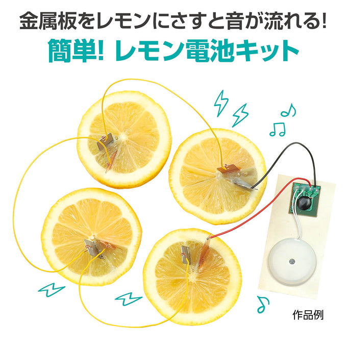 簡単！レモン電池