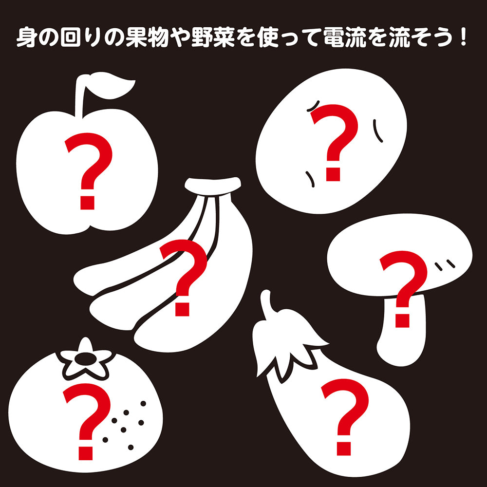 簡単！レモン電池