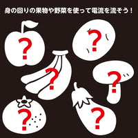 簡単！レモン電池