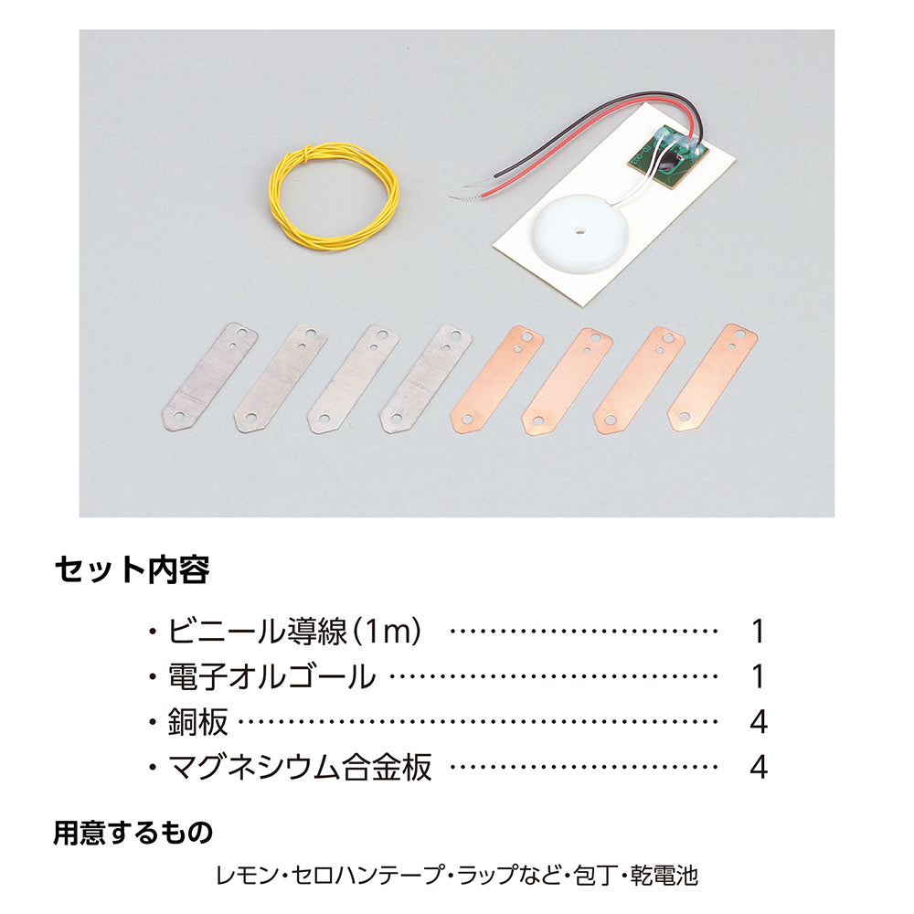 簡単！レモン電池