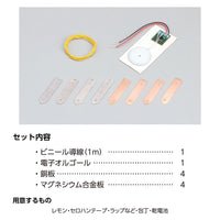 簡単！レモン電池