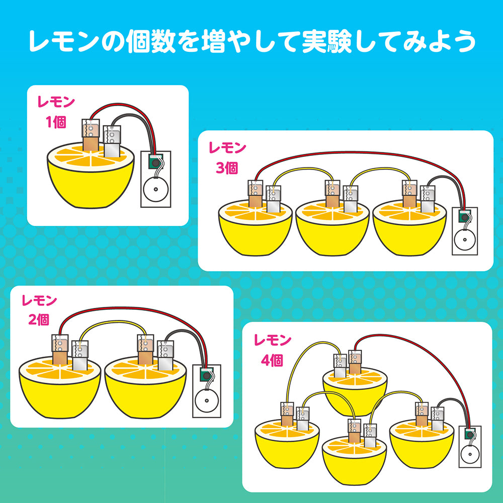 簡単！レモン電池