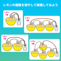 簡単！レモン電池