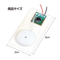 簡単！レモン電池