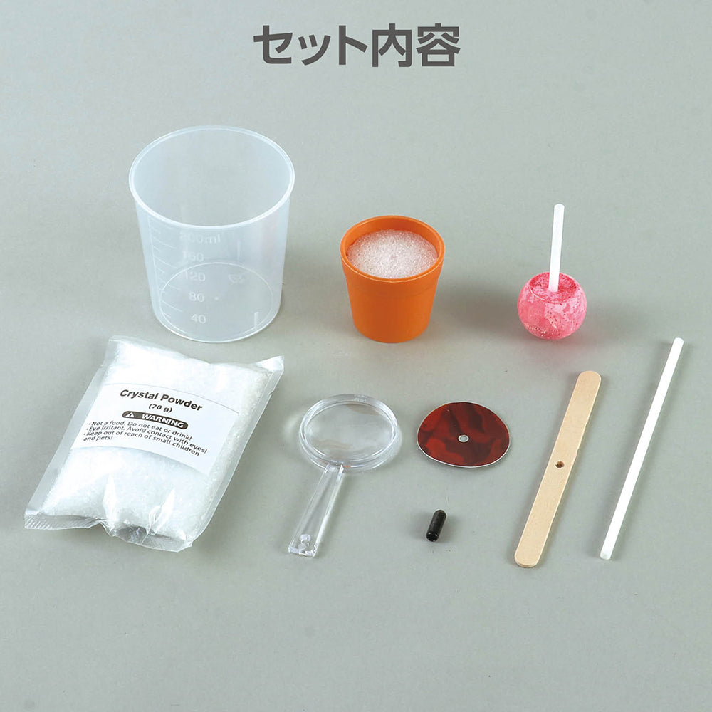結晶ツリー育成キット｜ワオショップ